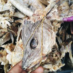 Stockfish